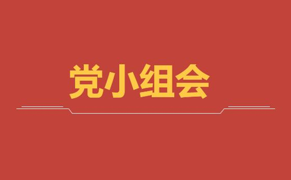 公司第二党支部第一党小组召开线上党小组学习会议