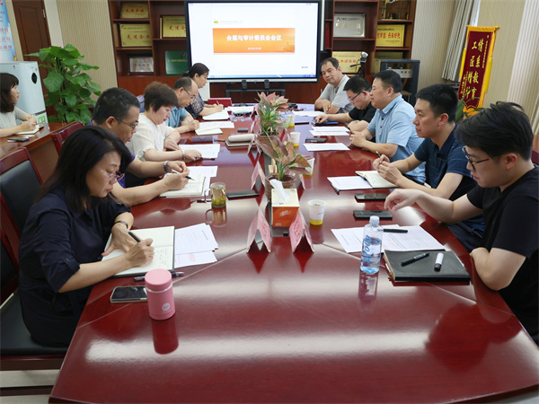 公司合规与审计委员会召开首次会议