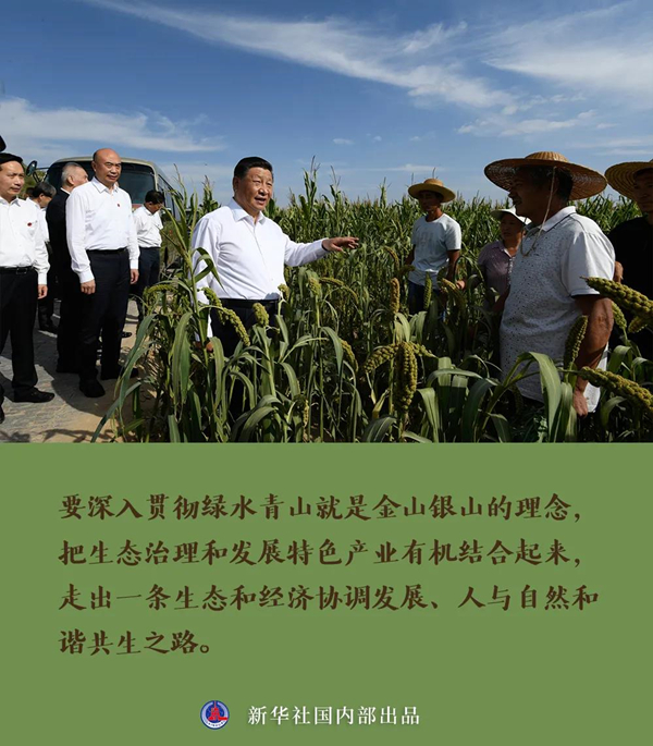 长图3_副本.jpg