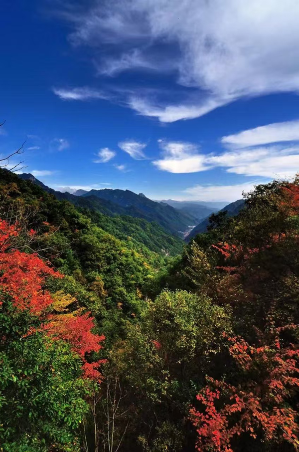 秦岭关子沟尾矿库闭库工程_副本.png